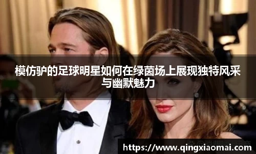 模仿驴的足球明星如何在绿茵场上展现独特风采与幽默魅力