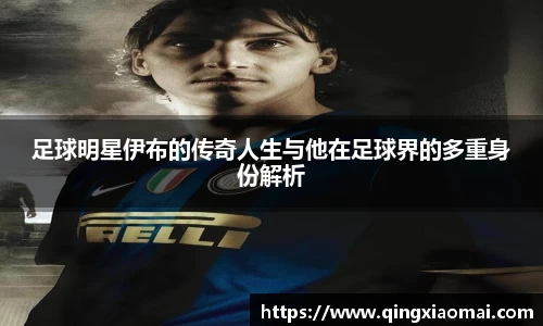 足球明星伊布的传奇人生与他在足球界的多重身份解析